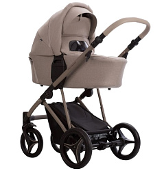 Детская коляска Bebetto Pelpasso 2 в 1