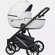 Детская коляска Riko Basic Montana Premium Silver 2 в 1 - Фото