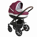 Детская коляска Tutis Nanni 3 в 1 (893339 Фиолетовый + Кожа серебро
						
					) — Фото