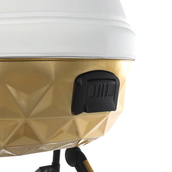 Детская коляска Junama Diamond Mirror Satin V2 3 в 1 на золотой раме фото 14