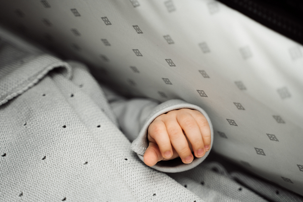 Детская коляска Labala Raiz Basic Line 2023 2 в 1 фото 11