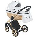 Детская коляска Adamex Chantal Star Deluxe 3 в 1 (Star104
						
					) — Фото