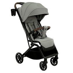 Детская прогулочная коляска Pituso Ice