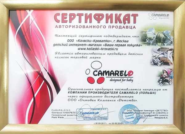 Детская коляска Camarelo Pireus New 2 в 1 фото 4