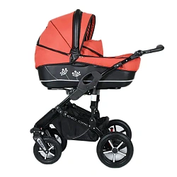 Детская коляска DorJan Danny Sport Plast EVO 2 в 1