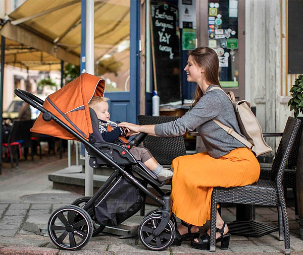 Детская прогулочная коляска Noordi Polaris Sport 2020 фото 5