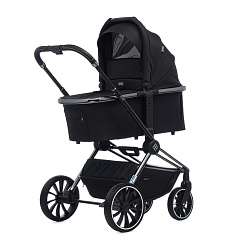 Детская коляска Labala Raiz Basic Line 2023 2 в 1