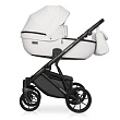 Детская коляска Riko Basic Montana Ecco 2 в 1 - Фото